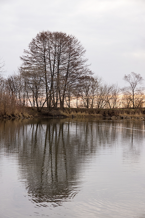 Good for the Soul - Soft Pink Dawn by the Lake by Georgia Mizuleva Good for the Soul - Soft Pink Dawn by the Lake by Georgia Mizuleva