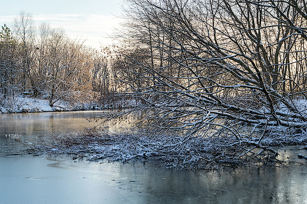 Soft and Snowy - Winter Wonderland at a Frozen Pond by Georgia Mizuleva Soft and Snowy - Winter Wonderland at a Frozen Pond by Georgia Mizuleva